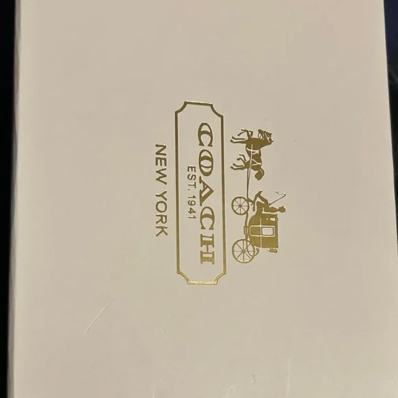 Coach Rainbow Striped Wristlet with Silver Accents - Picture 2 of 4